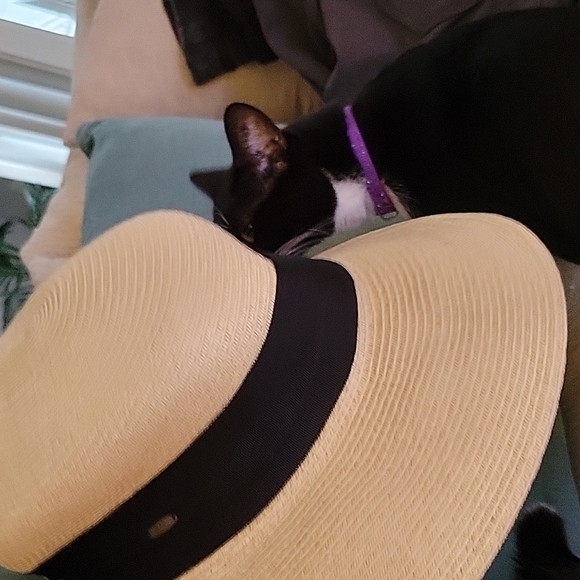 Scala Straw Brimmed Garden Boating Hat - Picture 4 of 9